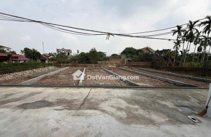 Bắt Đáy Lô Đất 93,1m2 Full Thổ Cư Giá Chỉ 35 Triệu/m2 Kế Cận Siêu Quần Thể Ecopark